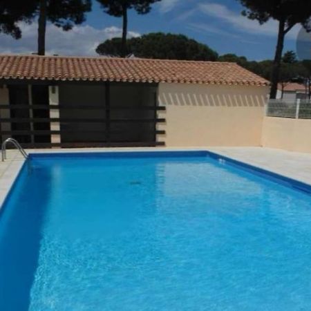 Apt T2/4 Pers/ Rez De Jardin\Pinede\Piscine Agde Exteriör bild